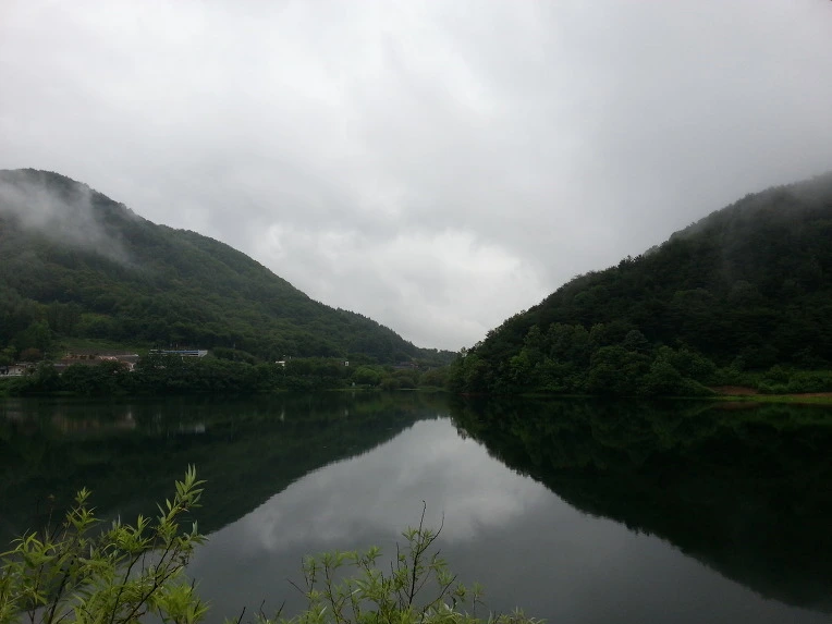 2325A54B56946D2321E5FE