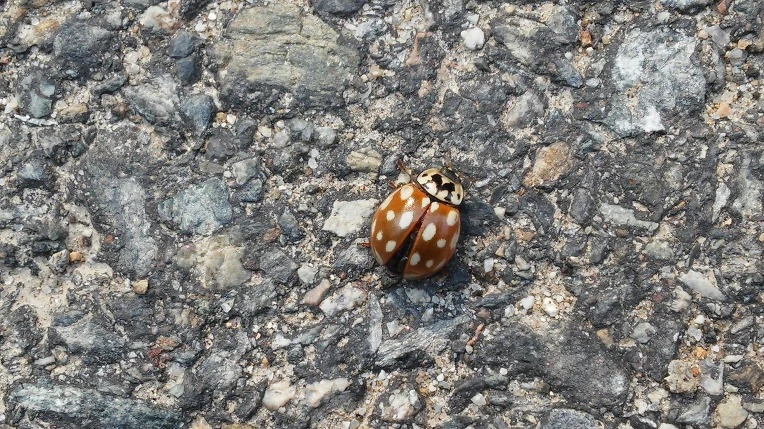 270B923456F3902835C9A2