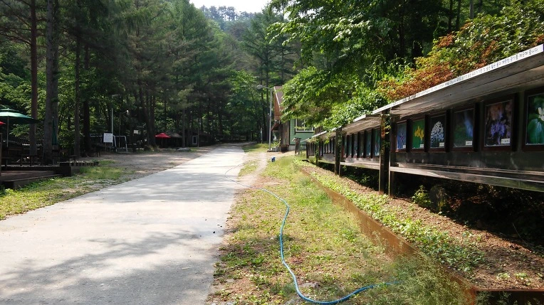 2137154E592E9EBB0C4F5D