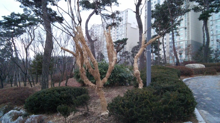 24349B415854CB56013E85