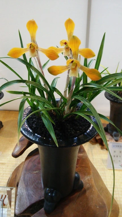 233ECC3958CDACE217B814