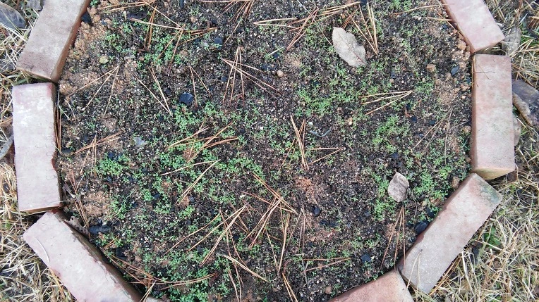 272D5F47566DDFCA0F1FE5