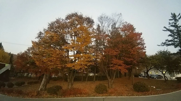 995011355C232851263A46