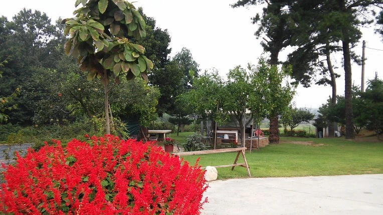 250DB44957D5E2BE066D19