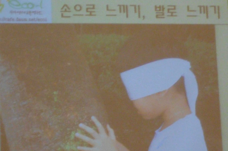 2338F13A56FA722A2353A9