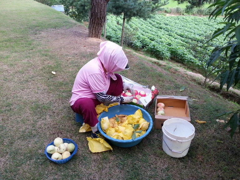 210FCF4C53DC504016B5F6