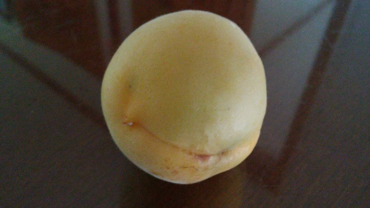 210E6A4D576E18F11997EC