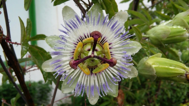 214A7940564EB3EE3616E2