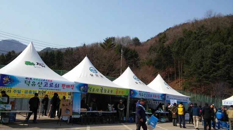 2451613B56E4ED0E33CBAD