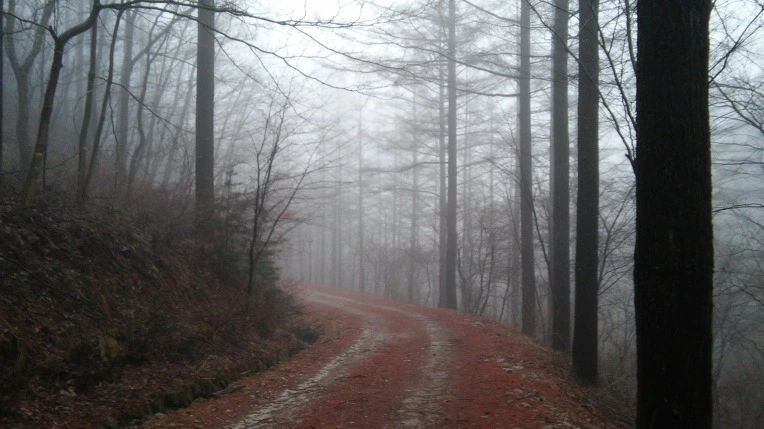 2774894D56DA7C1E0EACB1