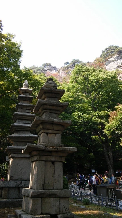 2324EB3D560FBC131F6B11