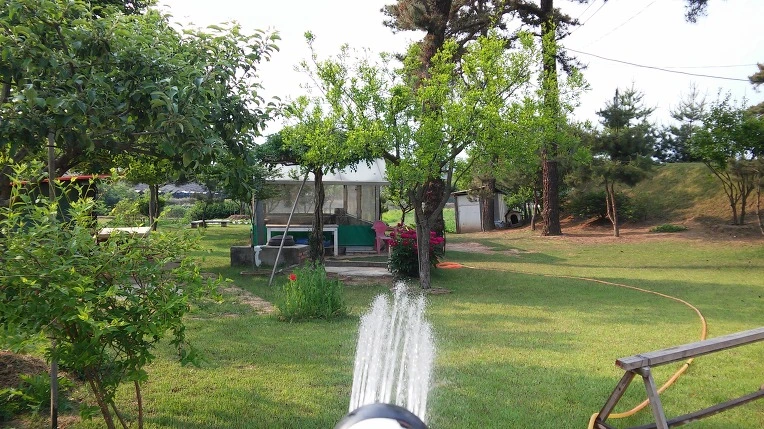 2555304F591BAE0A2AEFDC