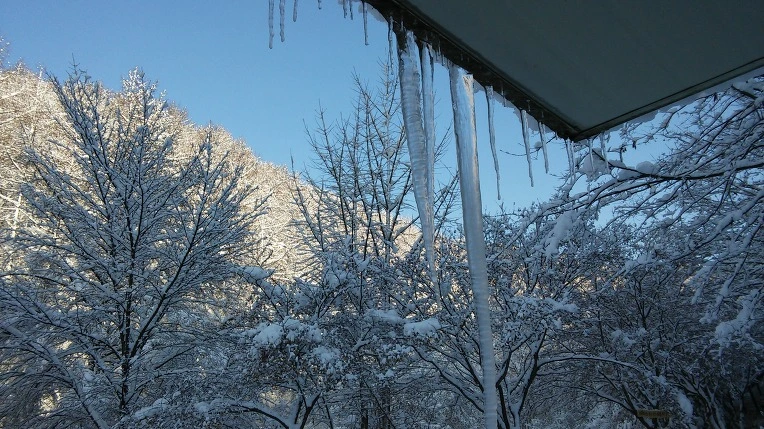 2545A13E566120CE34F836