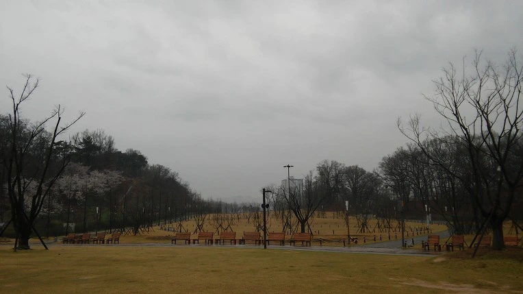 242FD85057059CE125C7C2