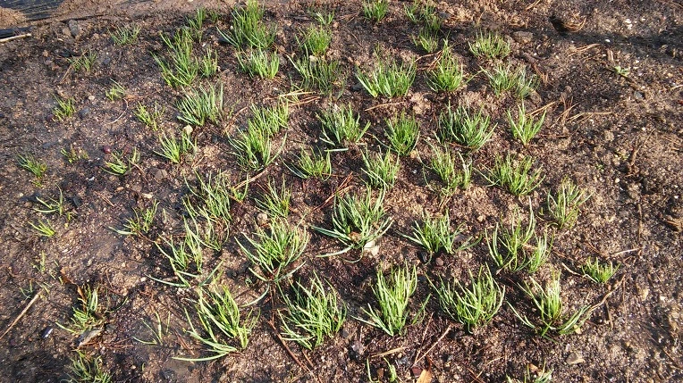 254CB54156FC8D050397F6