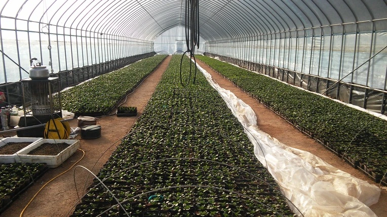 252EF43456720F9C158158