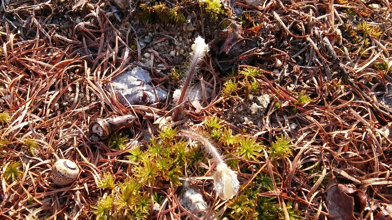 235A303456F7219B1D717A