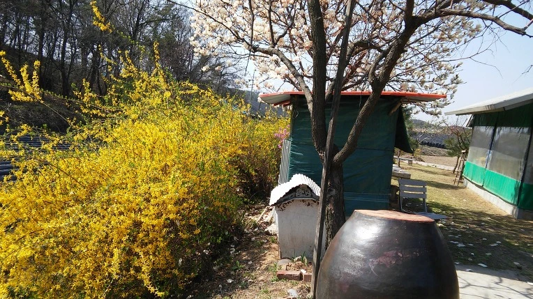 2506294B570C6B18263E3E