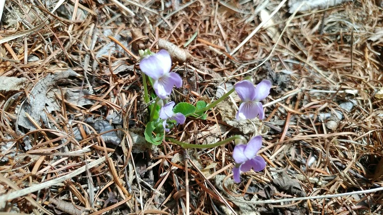 99DFE1375ABD6659128C65