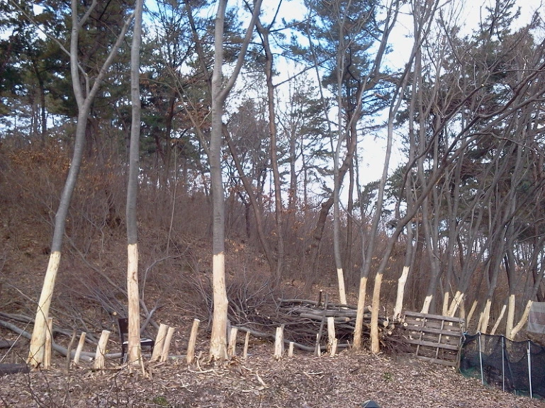 23595F40541BC00F2739C9