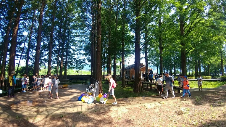 99DA00465B4D8E6F37B2F0