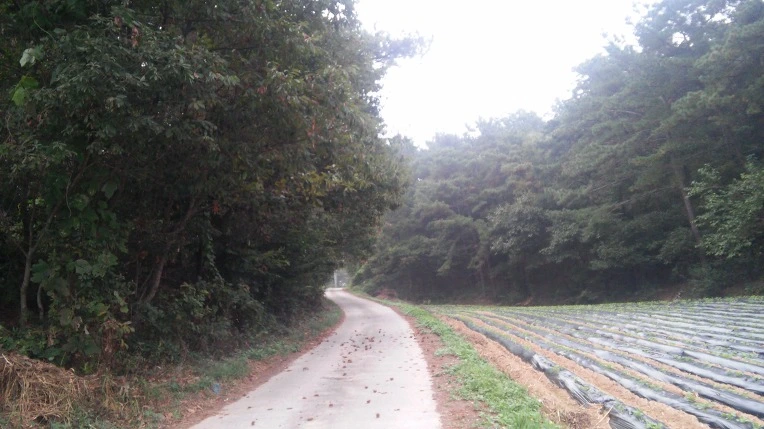 2112124A57EEEE52142874