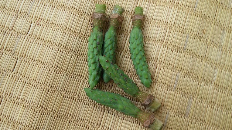 2176E134575B87C8096C7D