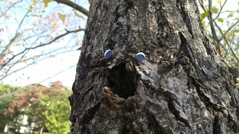 243DAC365630851B303592