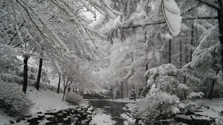 24620033565F944A28F4F2