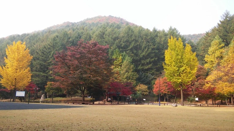 2256734556281DCE300979