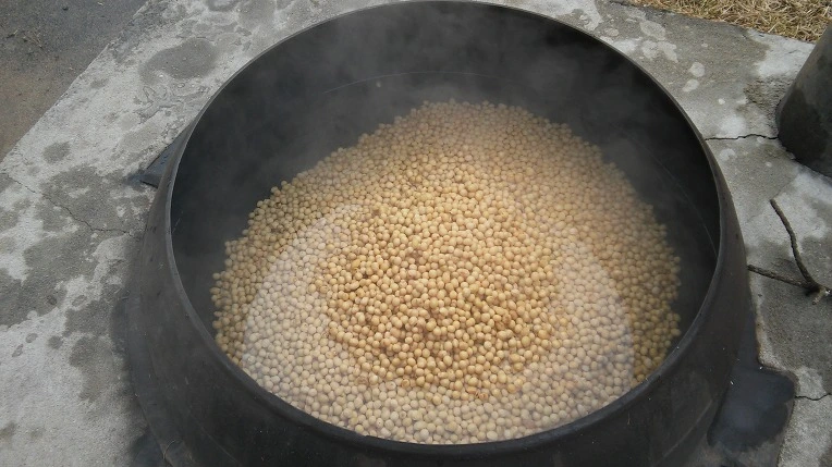 2505074656C6C23825438C