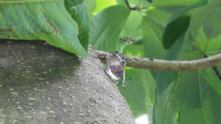 231FE33F578C5D651AF5E1