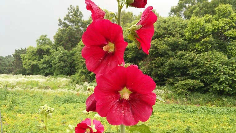 2263E838576CFC7D197641