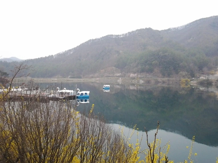 2662414B56946D1B2DE949