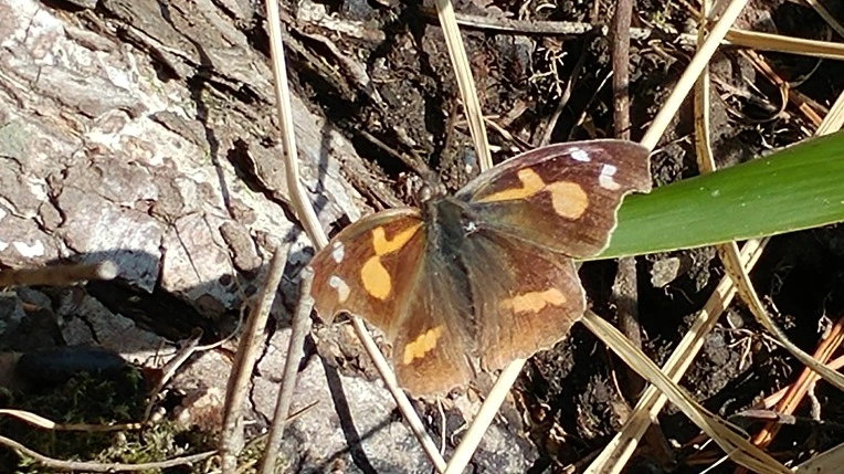 99C6D0425E47193A115BEA