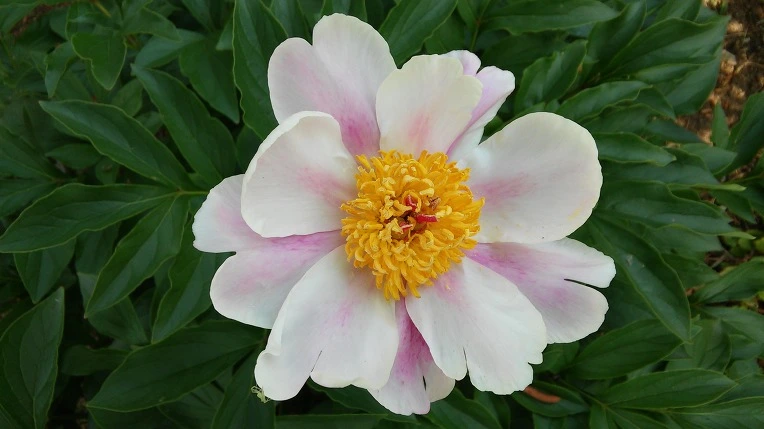 23262933573A59E712CD12