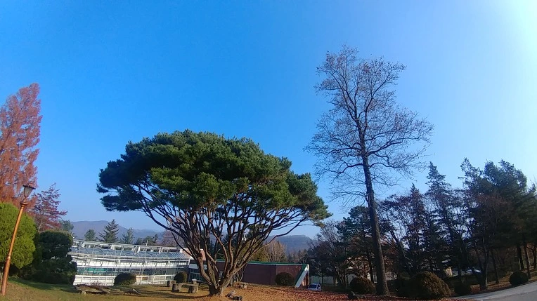 994CF3365C275B0B33E3DE