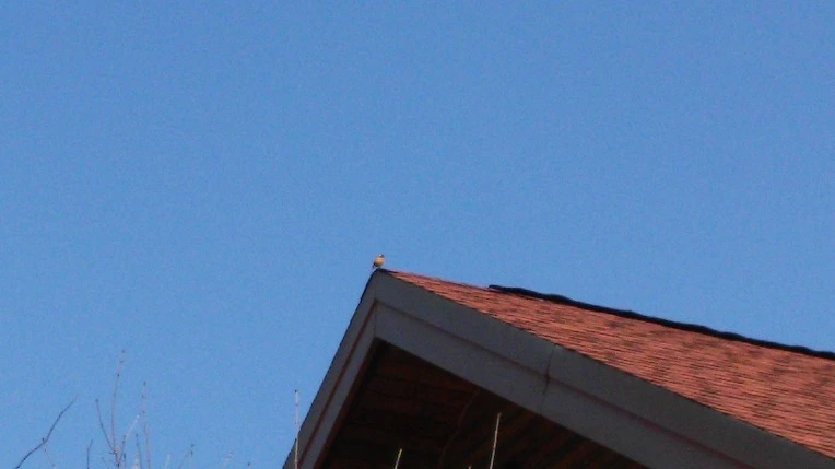 2774C33356F3901B28477A