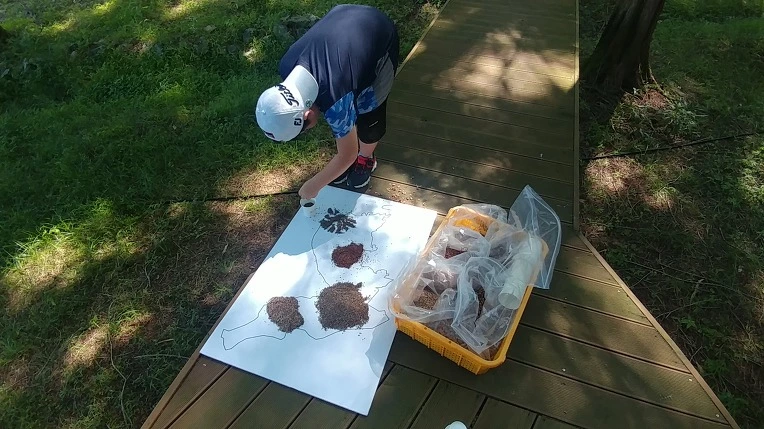 99CEDA345B4D8F06096E9F