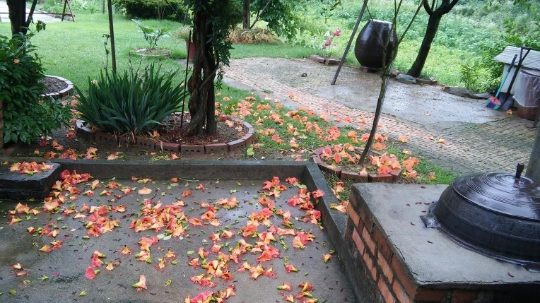 bOoMEv75QgEMKA9KPLYKK8MgPjQ