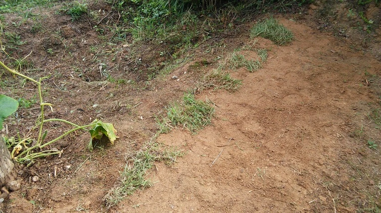 2313154957CA23510DAFD9