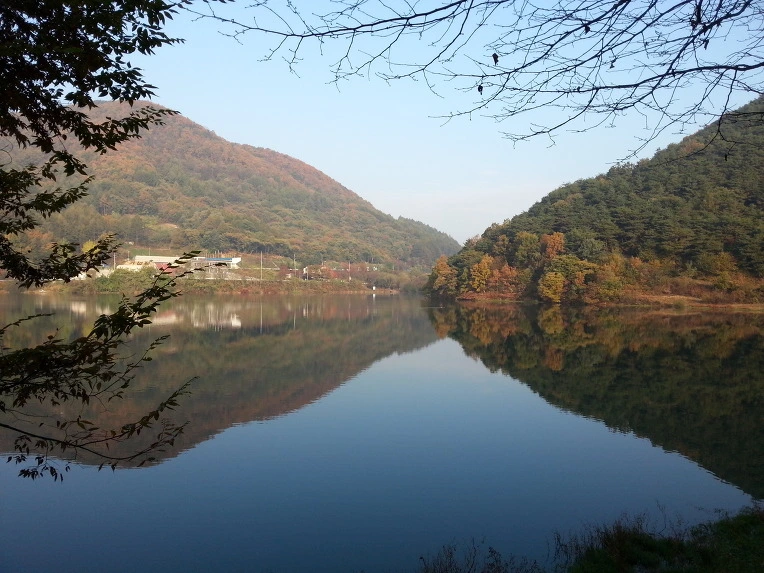 244EB15056946FED30A606