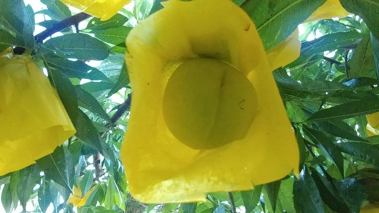 9934423F5B6F79B604A109