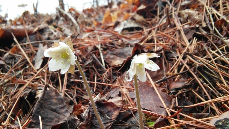 231D7A3B58E5DE3E18BE25