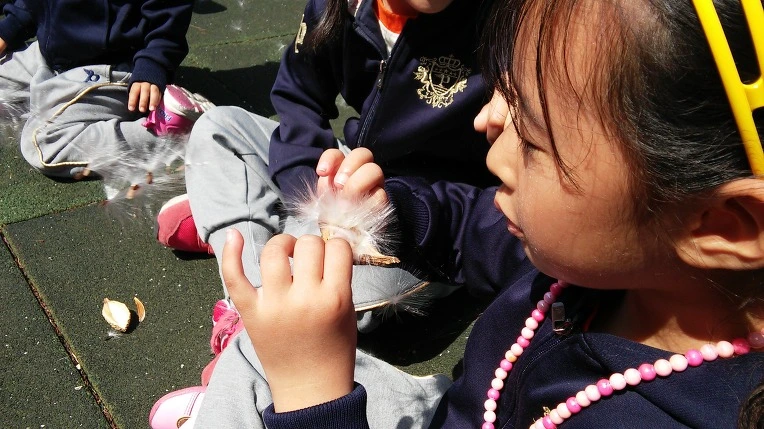 26604043565285302A90DB