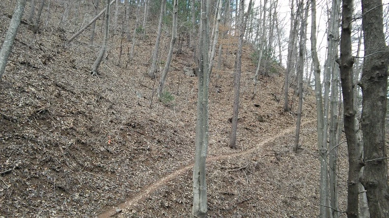 2653843B56F3916A2E7819