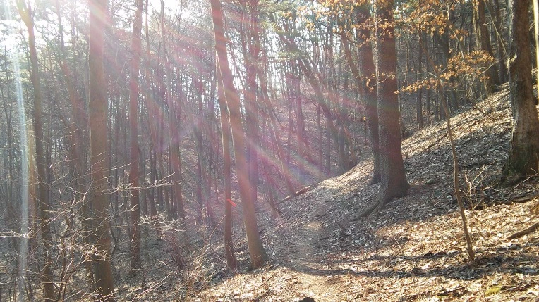 2346C23956F871452DAF34