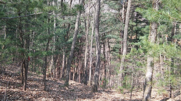 252E7F3756F7758021B898