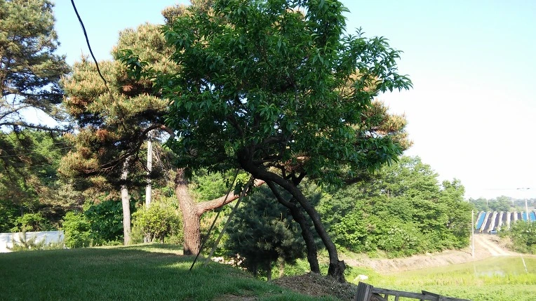 274A614E591BAE3B3748D3