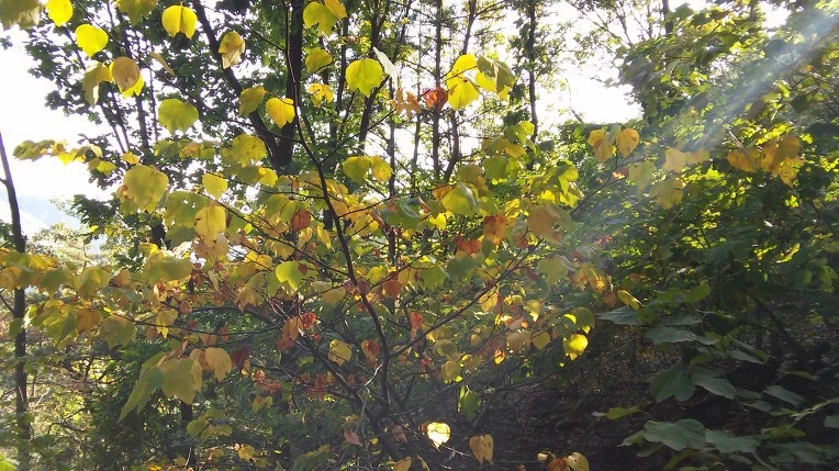 99138E365EBE1C8E24EB82